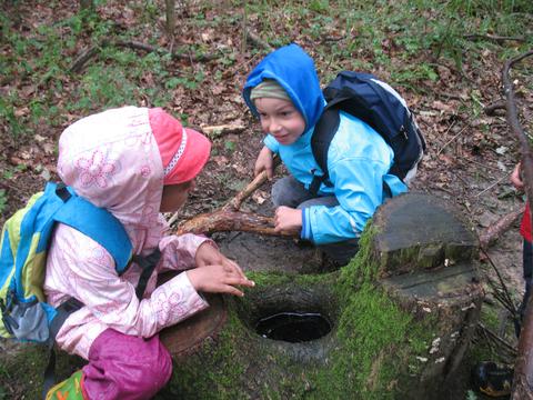 Waldtag und Ausflug