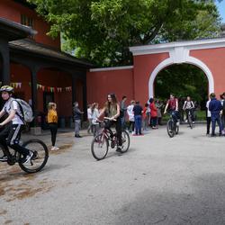 Ankunft der Staffel von Pannonia in Schönau