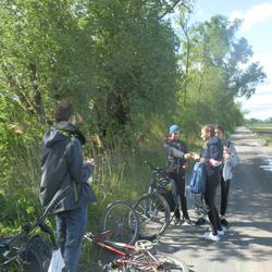 Auf dem Weg nach Schönau